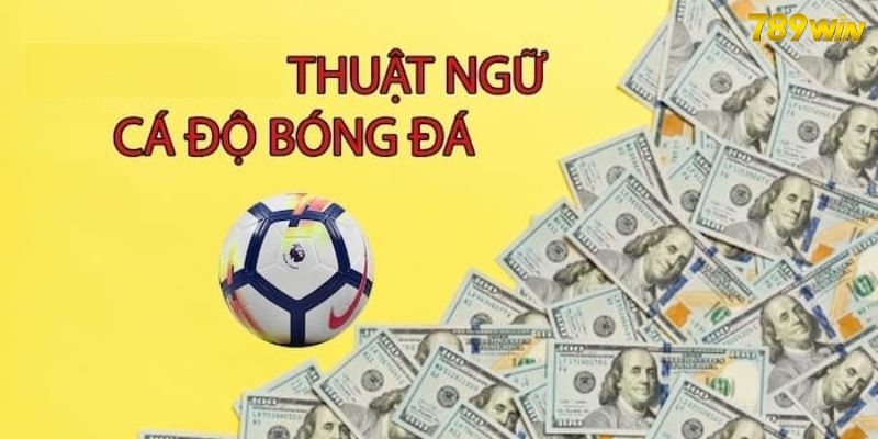 Thuật Ngữ Cá Độ Bóng Đá - Giải Đáp Một Số Cách Gọi Cơ Bản Thuật Ngữ Cá Độ Bóng Đá - Giải Đáp Một Số Cách Gọi Cơ Bản